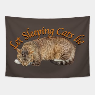 Let sleeping cats lie! Tapestry