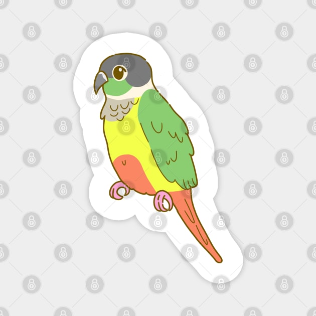 Yellow Sided Green Cheek Conure Magnet by casserolestan