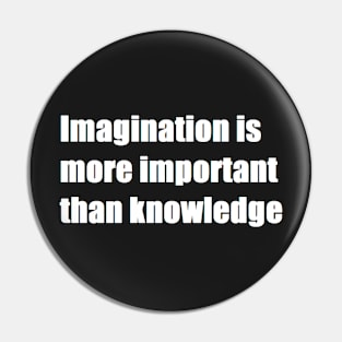 imagination is more important than knowledge Pin