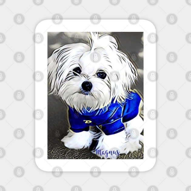 Maltese Artwork, Maltese art, dog art, dog portrait, Magnus the cute, Cute white dog, white dog decor, maltese merchandise Magnet by roxanegabriel