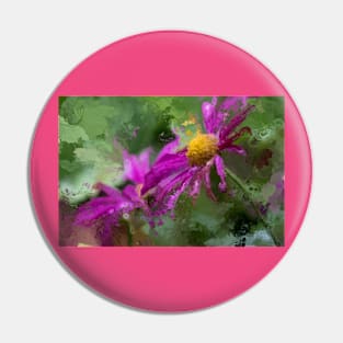 purple freeway daisies Pin