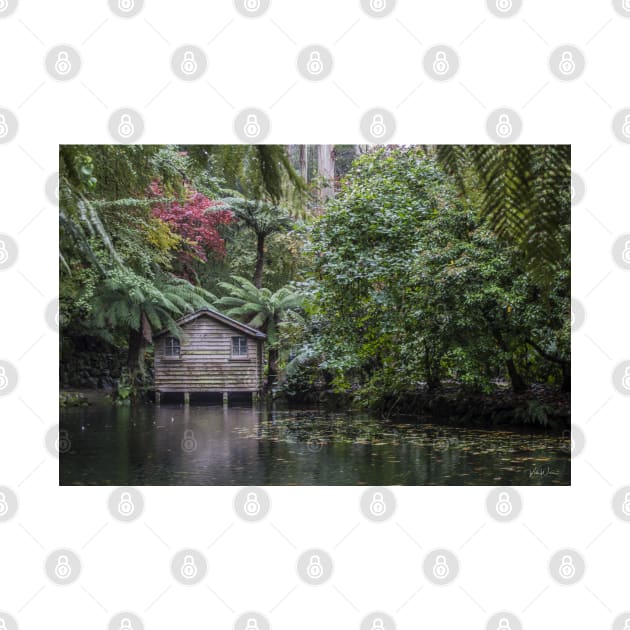 The Lake House at Alfred Nicholas Memorial Gardens by VickiWalsh