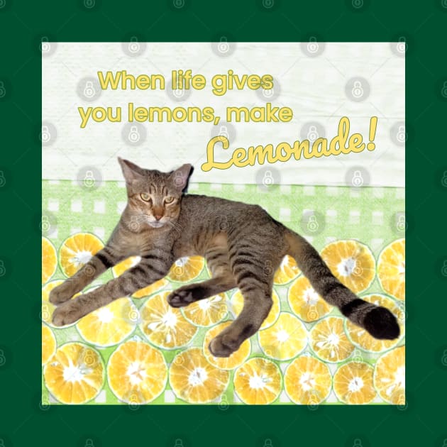 Cat with Funny Quote When Life Gives You Lemons, Make Lemonade by aspinBreedCo2