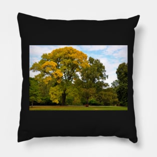 Nouvelle Zélande - Christchurch Pillow