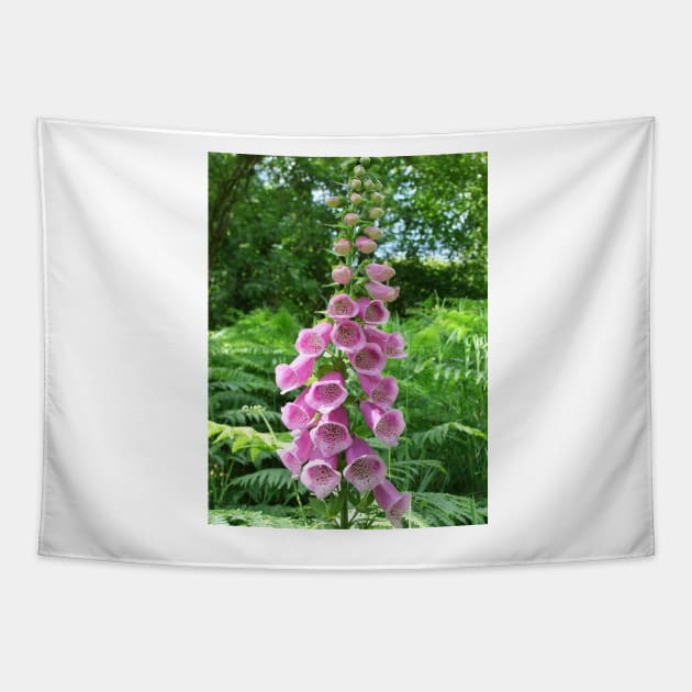 Pink Foxglove Tapestry by pinkal