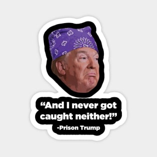 Prison Trump Magnet