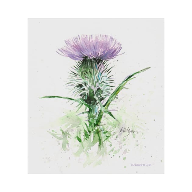 Scottish Thistle - version two by arlyon