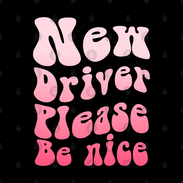 New Driver Please Be Nice by ZaikyArt