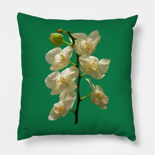 Orchids - Dainty White Orchids Pillow