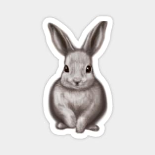 Cute Rabbit Drawing Magnet