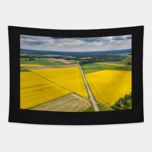 Agricultural landscape, fields of yellow colza and green grain under moody cloudy Tapestry