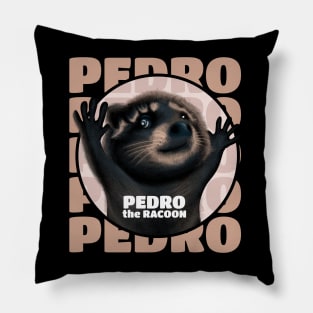 Pedro the Racoon Pillow