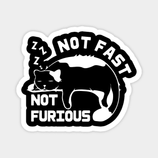Funny cat Not Fast Not Furious cat Quote Cute cat Magnet