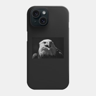 Bald Eagle Portrait 1 Phone Case