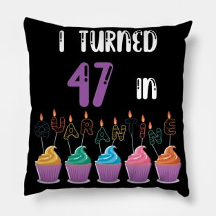 I Turned 47 In Quarantine funny idea birthday t-shirt Pillow