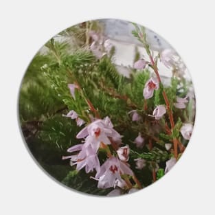 an old photo of a flower taken with an instant print camera Pin