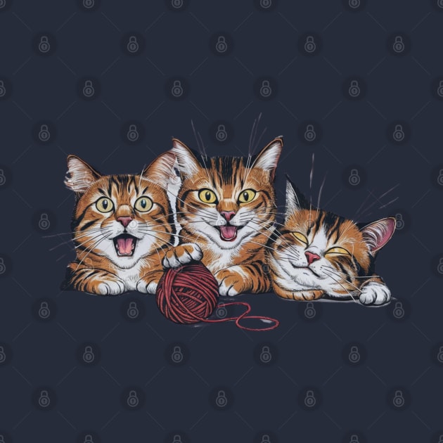 Three Cats Three Moods by hsayn.bara