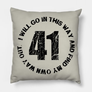 41 - DMB Pillow