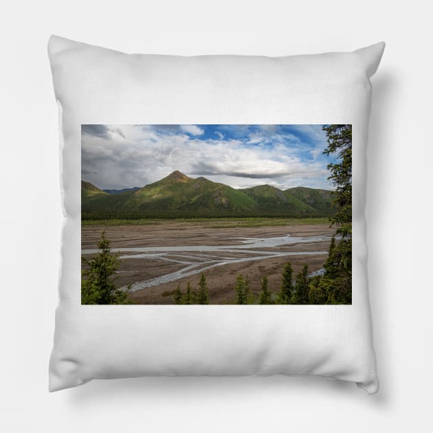 Shallow Riverbed Pillow by andykazie