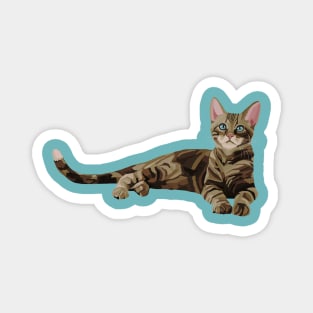 Cute Brown Tabby Kitten Magnet