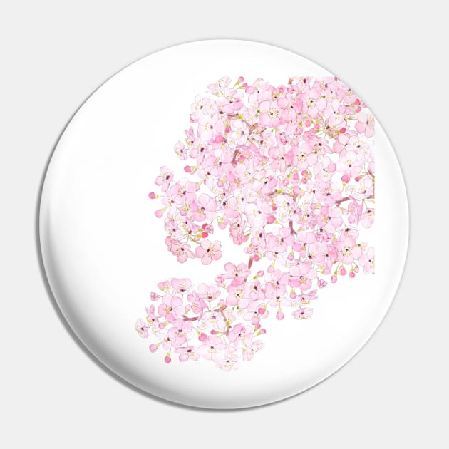 cherry blossom ink and watercolor 1 Pin by colorandcolor