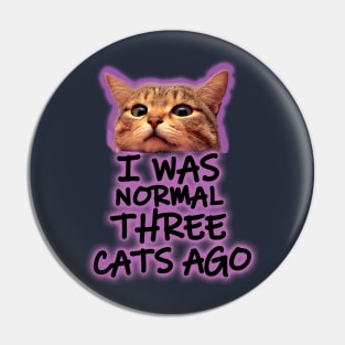 normal cat lady Pin