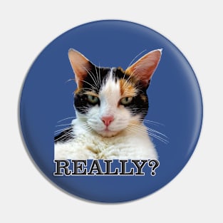 Cute Calico Cat with Attitude – Really? Pin