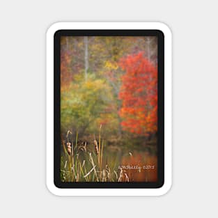 Fabuous October #1 Magnet