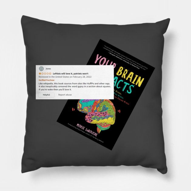 Bad book review for Your Brain On Facts Pillow by Your Brain On Facts