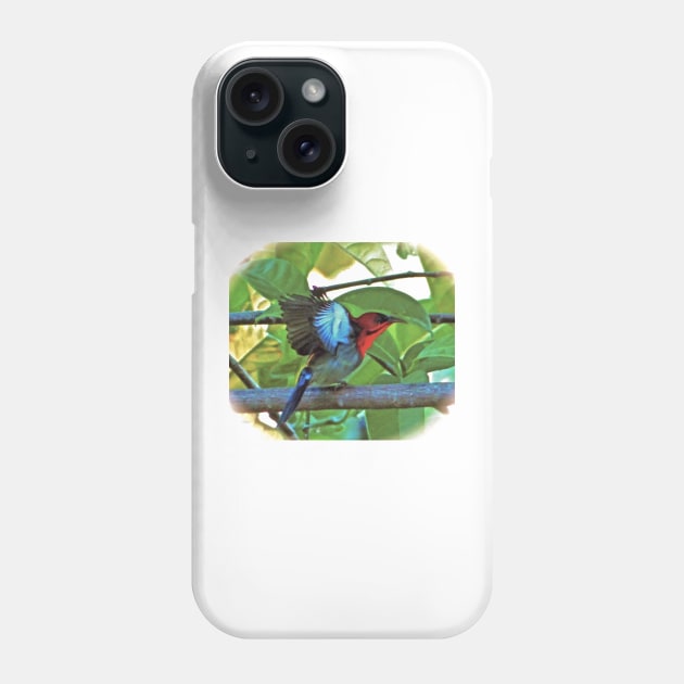 EASTERN CRIMSON SUNBIRD ART Phone Case by dumbodancer