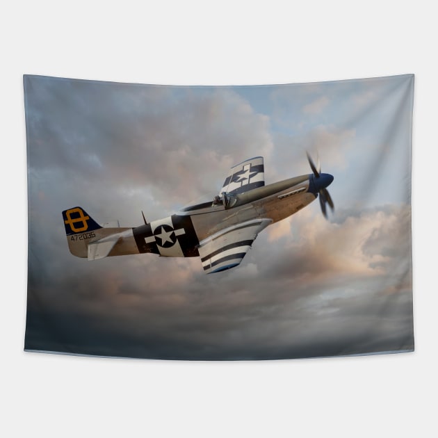 Jumpin' Jacques - P51 Mustang Tapestry by SteveHClark