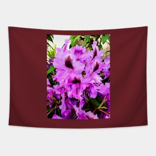 The Rhododendron Tapestry