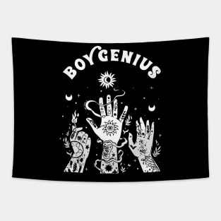 boygenius Tapestry