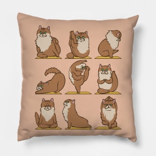 Maine Coon Yoga Pillow