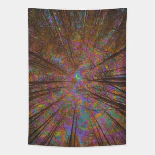 Natural Energy Tapestry