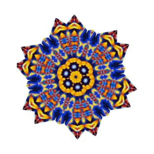 shifting mandala T-Shirt