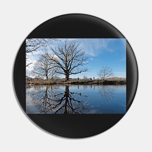 Reflections of trees in water Pin