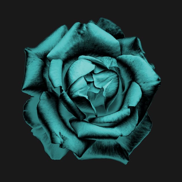 Turquoise Charcoal Rose by nautilusmisc