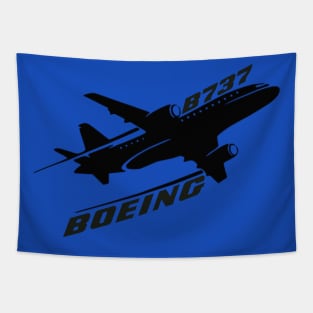 Boeing B737 Tapestry