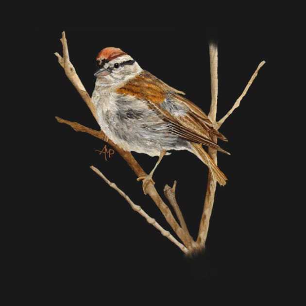 Perched Chipping Sparrow by ampomata