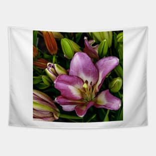 A Pink Lily for Mother's Day Tapestry