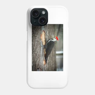 Piletated Woodpecker Phone Case
