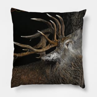 Irish Red Stag scratchboard Pillow