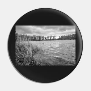 Riverside reeds blowing in the wind in the English countryside Pin