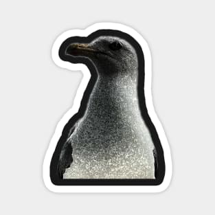 Petrified Seagull Magnet