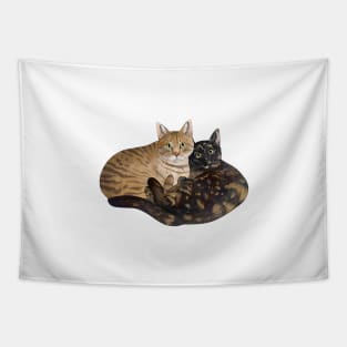 Two Cats Smooth Tapestry