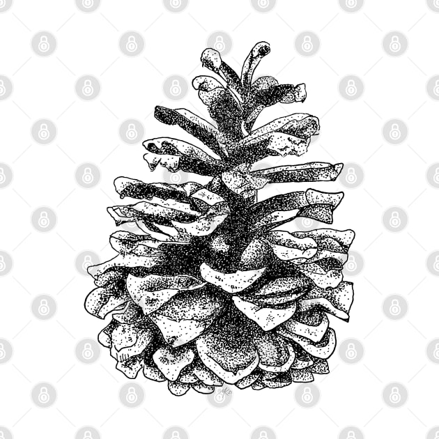 Pinecone by Divoc