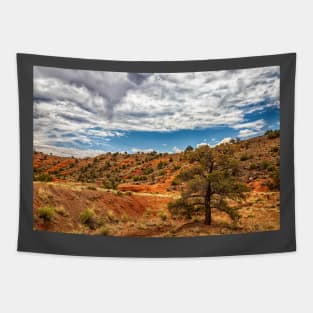 Capitol Reef National Park Tapestry