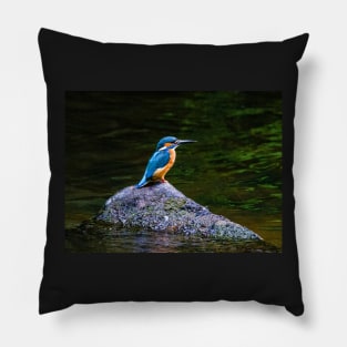 Kingfisher Pillow