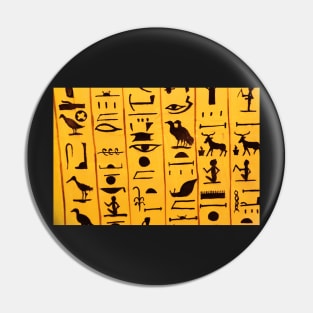 Egyptian hieroglyphs Pin